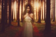 白狐之夢，神秘與幻想的交織，白狐之夢，神秘與幻想的交織