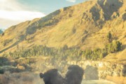 探索Mia免費(fèi)游戲世界，一個(gè)全新的冒險(xiǎn)旅程，進(jìn)入Mia的免費(fèi)游戲世界，全新冒險(xiǎn)旅程的探索開始！