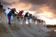 種地免費游戲，開啟你的農(nóng)業(yè)夢想之旅，種地大富翁，啟動你的農(nóng)田冒險之旅，免費享受農(nóng)業(yè)的樂趣