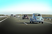 北京汽車流通協會常務副會長褚振亮：一年遭蛇咬十年怕井繩，二手車商現在都在遠離新能源車