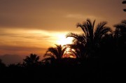 夢(mèng)到喜事，一場(chǎng)美好的心靈之旅，夢(mèng)境中的喜事，心靈之旅的美麗邂逅