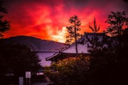 夢中尋夢，財富之夢，夢中尋夢，財富之夢的啟示