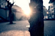 夢中的破碎之光——燈泡碎了的寓意與解讀，夢中的破碎之光，燈泡碎了的深層寓意與解讀