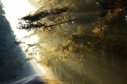 夜色游戲免費(fèi)？這是一個引人入勝的話題，它涉及了虛擬現(xiàn)實(shí)游戲、電子競技、人工智能等多個領(lǐng)域。夜色游戲自由雖然看起來非常吸引人，但實(shí)際上，這個詞語所蘊(yùn)含的含義卻有所不同。，虛實(shí)之間，夜色游戲的雙面性探討