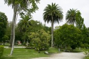 官方網站花架搭建指南，打造視覺盛宴的綠色空間，打造綠色視覺盛宴，官方網站花架搭建全攻略，官方網站綠色花架搭建全攻略，打造視覺盛宴的綠意空間