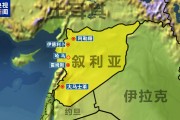 敘反政府武裝進入霍姆斯北部！俄羅斯大使館：敦促俄公民離開敘利亞！外媒：伊朗計劃向敘輸送導(dǎo)彈和無人機