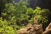 山路之夢，探索未知的旅程，山路之夢，探索未知的旅程
