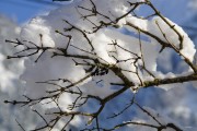 夢中大雪紛飛，厚雪之下的世界，夢中大雪紛飛，厚雪之下的世界探索