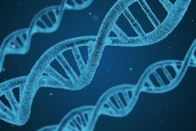 科倫藥業(002422)：主業穩健 合成生物新品、創新藥多輪驅動增長