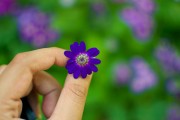 芭比打扮游戲免費下載，讓小女孩過上精致的生活，芭比打扮游戲