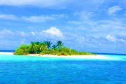 海魚之夢，探索夢境深處的海洋奧秘，海魚之夢，探索夢境深處的海洋奧秘