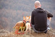 孕婦夢到野雞，是否為胎夢的探索之旅，孕婦夢到野雞，胎夢的探索之旅