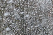 雪舞夢境——我的夢中雪景，雪舞夢境，我的夢中雪景的詩意之旅