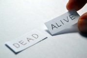 定制網站搭建價格揭秘，如何根據需求選擇合適的價格方案，揭秘定制網站搭建成本，如何匹配需求與價格策略