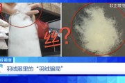 “羽絨騙局”曝光：兒童羽絨服也造假，檢測(cè)報(bào)告成本一兩元錢
