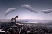 夢(mèng)中邂逅大伯的神秘世界，夢(mèng)中邂逅大伯的神秘世界之旅