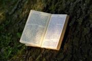 夢到書，一場心靈與知識的奇妙旅程，夢中的書，心靈與知識的奇妙旅程