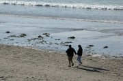 夢到棗，一場甜蜜的夢境之旅，夢到棗，一場甜蜜的夢境之旅