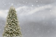 桌面圣誕樹插件網(wǎng)站，點(diǎn)亮冬日溫馨，增添節(jié)日氣氛