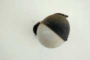 解讀夢(mèng)境中的鱉，象征意義與心理暗示