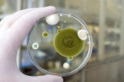 銀行卡的生物識別技術應用前景如何？