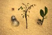 輕盈的夏日午后——輕松享受薄荷游戲免費，輕松享受，夏季薄荷游戲——只用一包薄荷