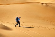 夢中的書香之旅，夢中的書香之旅，探索知識的奇幻之旅