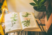 免費(fèi)游戲的春天，11個(gè)值得推薦的游戲，最新11款免費(fèi)游戲推薦，春天來臨的免費(fèi)游戲狂歡盛宴