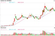 機器人概念連續反彈，科創50指數半日漲0.45%