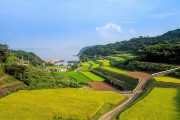 湘西網站流量，助力鄉村振興的數字引擎