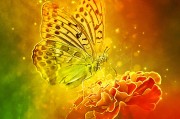 體驗無限可能的戶外游戲，免費游戲的無限可能，挑戰極限，自由游戲——您的戶外冒險樂趣新起點