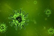 澳大利亞出現(xiàn)新冠新變種 FluQE：傳染性更高，幾周內病例或激增