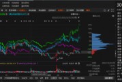 路通視信資金占用形成的關聯交易，投資者可索賠！
