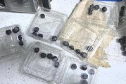 315在行動|賽博鬼秤？直播間買8盒藍莓每盒才5顆 別讓網購“攔”住份量“沒”了良心