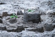夢中的雷擊，心靈的覺醒之旅，夢中的雷擊，心靈的覺醒之旅