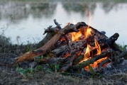 全球熱門大逃殺游戲，免費(fèi)下載與體驗(yàn)，全球熱門大逃殺游戲，免費(fèi)下載體驗(yàn)一覽