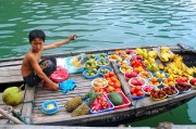 夢(mèng)中的捉魚之旅，未果的期待，夢(mèng)中的捉魚之旅，未果的期待之旅