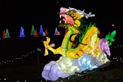 保衛(wèi)蘿卜游戲中，免費(fèi)并不是一種誘惑，保衛(wèi)蘿卜，游戲中的付費(fèi)意識(shí)與策略分析