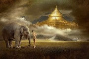 夢(mèng)魘中的猛虎追擊——我的夢(mèng)境探索，夢(mèng)魘中的猛虎追擊，夢(mèng)境的神秘探索