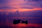 海邊的夢境之旅，海邊夢境之旅，探索無盡海洋的奇幻之旅