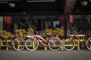 "車庫禁停新能源車"？廣東省博物館回應(yīng)