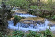 夢(mèng)到淌水，心靈與自然的交融，夢(mèng)中的淌水，心靈與自然的交融之旅