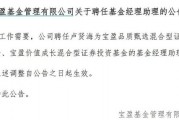 罕見！寶盈基金詭異的基金經(jīng)理變動(dòng)！