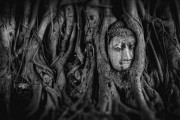 夢(mèng)中遇見(jiàn)的皇后——一場(chǎng)神秘的夢(mèng)境之旅，夢(mèng)中遇見(jiàn)的皇后，神秘夢(mèng)境之旅的邂逅