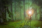 甲蟲游戲的無限可能——探索免費游戲的世界，無盡的游戲宇宙，探索免費游戲世界的新機遇