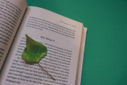 湖南校園注冊攻略，輕松開啟你的大學生活，湖南校園注冊全攻略，輕松邁入大學生活新篇章