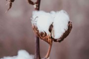 如何在期貨市場中應(yīng)對各種風(fēng)險(xiǎn)因素？