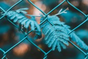 SEO是什么？，簡要解析，理解SEO的基本概念和術語