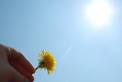 夢(mèng)中的朋友，大肚子的寓意，夢(mèng)中的朋友與大肚子的寓意