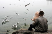 馬斯克，突發(fā)！海湖莊園傳來大消息，全球數(shù)百萬人大集結……